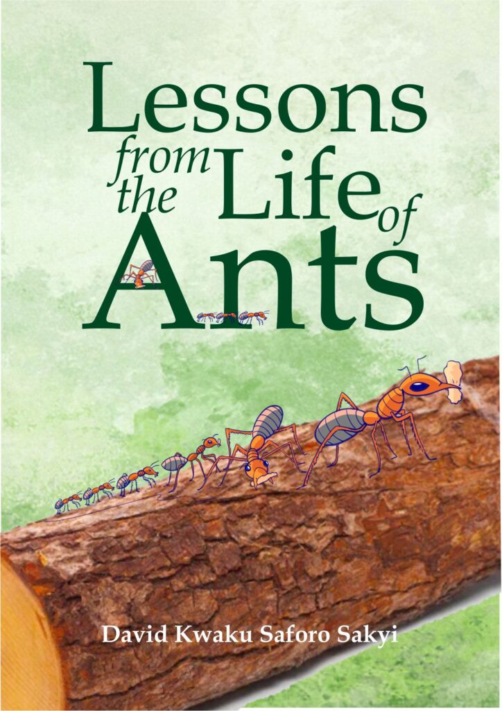 Cover of Lessons from the Ants