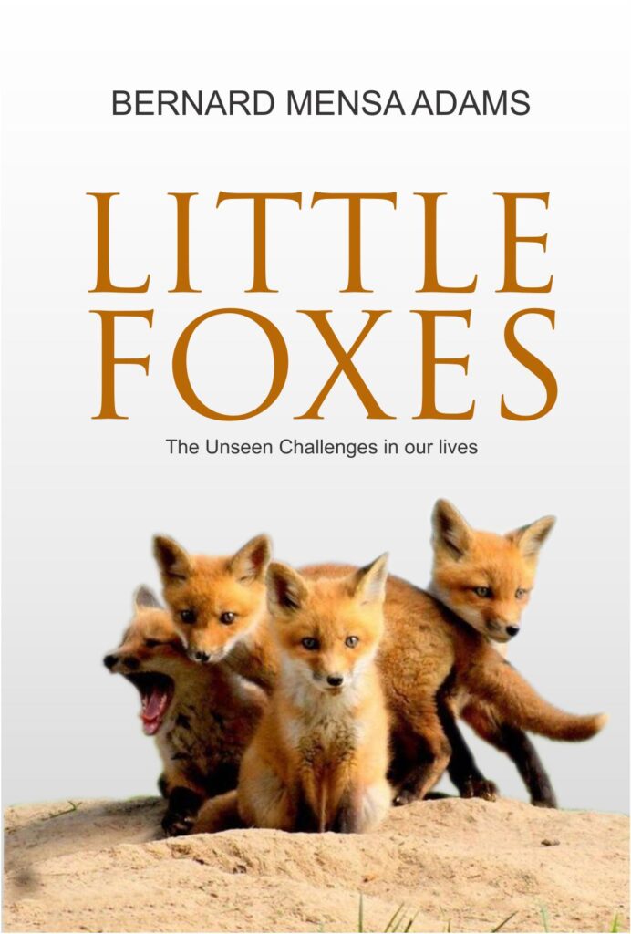 Cover of Little Foxes